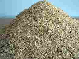 Cattle Feed