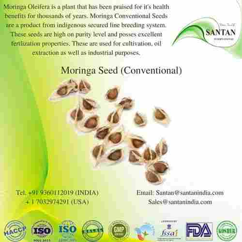 Conventional Bulk Moringa Seed