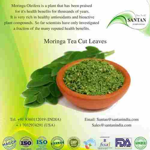 Herbal Moringa Dried Tea Cut Leaves