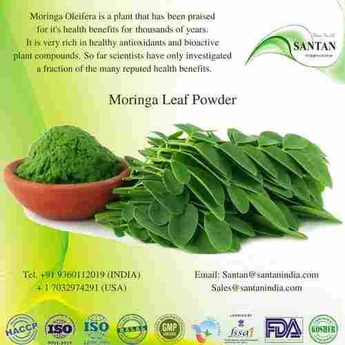 Herbal Moringa Drumstick Leaf Powder