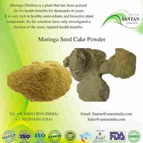 Indian Moringa Oleifera Seed Cake Powder