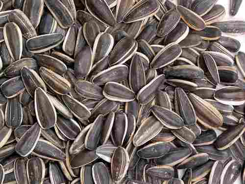 Confectionery Sunflower Seed