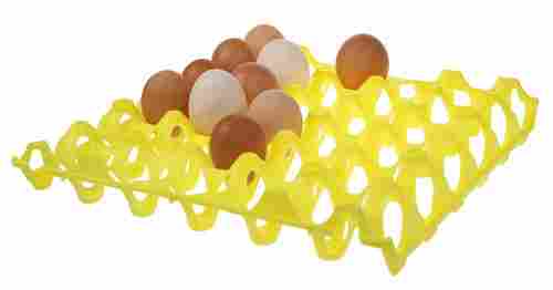 Simple Plastic Egg Tray
