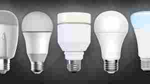 Acquiscent led bulbs