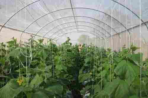 Agriculture Greenhouse