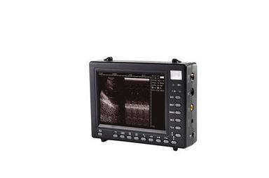 Easy To Operate Palm Size Veterinary Ultrasound Scanner
