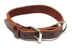 Pure Leather Puppy Collar Application: Dog