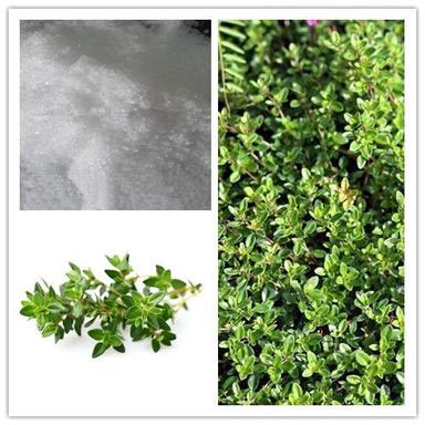 Anti-bacterial and Anti-viral Thyme Extract Thymol 