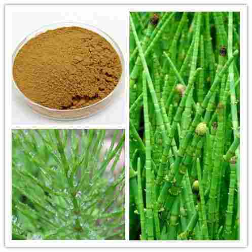 Natural Medicine Joint Health Horsetail Extract Silica Acid 