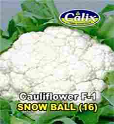 Cauliflower F1 Snow Ball 16 Seed