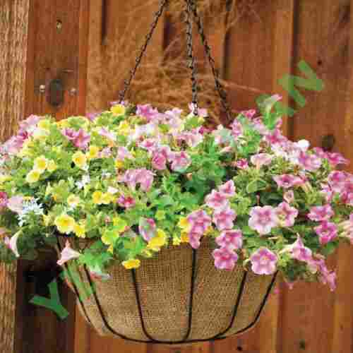 Durable And Attractive Hanging Basket