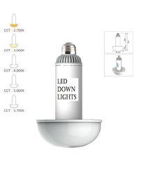 High Quality LED Down Light