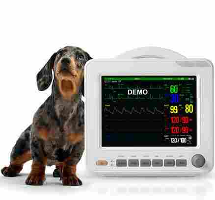Vet-8l 8.4 Inch Patient Veterinary Machine