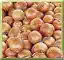 Nizam Onion Seed