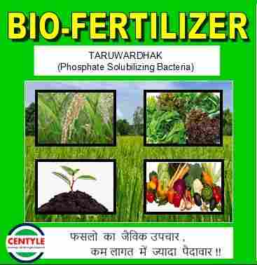 Taruwardhak (Phosphate Solubilizing Bacteria) Bio-fertilizer