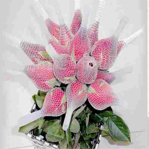White Extruded Rose Protection Bud Net