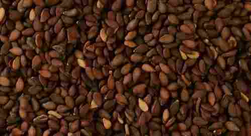 Sesame / Til Seeds (Brown / Red)