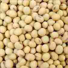 Soya Bean Seed