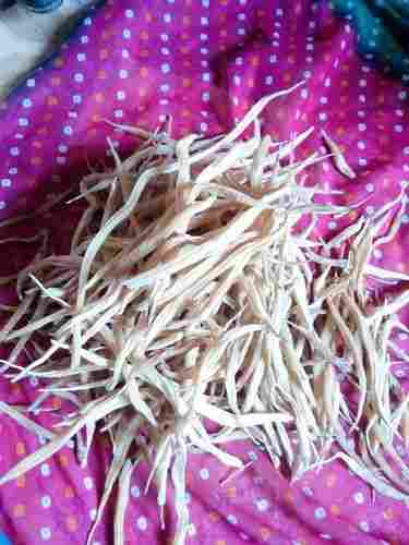 Asparagus Yellow Nepali Shatavari Dry Roots
