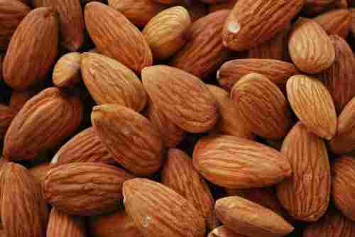 High Quality Dried Almond