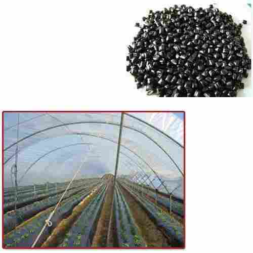 Black Masterbatch for Agriculture Industry