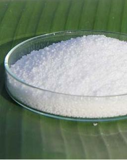 palmitic acid