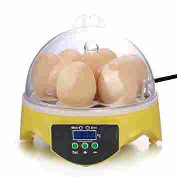 Electric Powered Portable Egg Incubators