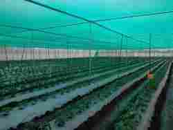 Agriculture Net