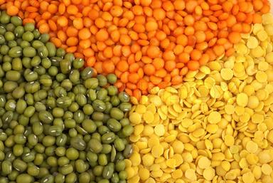 Common Green Red And Yellow Lentils