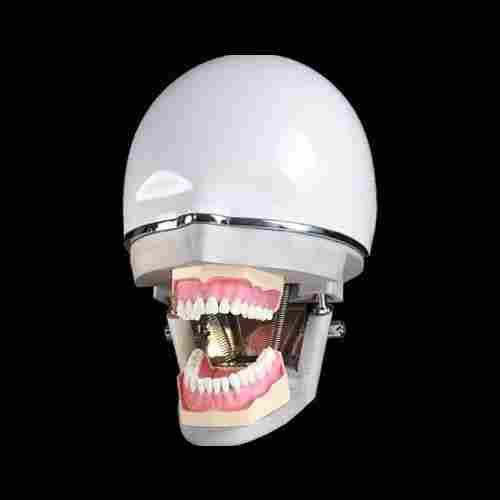 Dental Phantom Simulator
