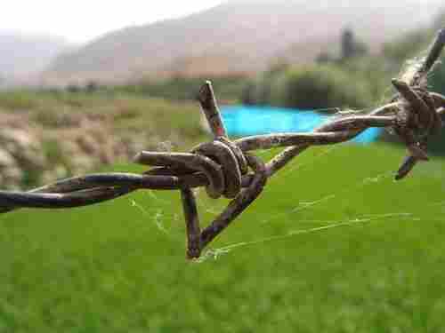 Barbed Wire Work
