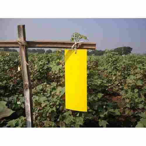 Agricultural Yellow Sticky Trap