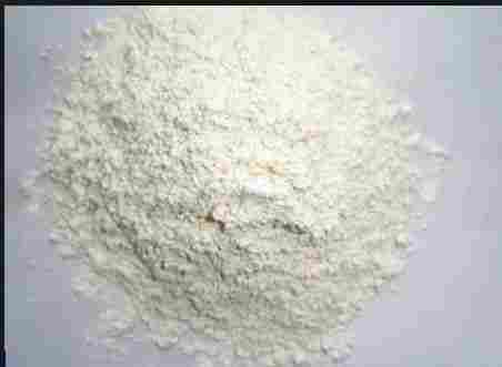 Dehydrated Onion White Powder