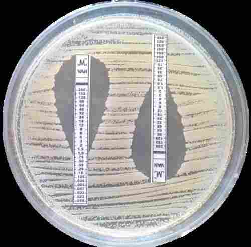 Antimicrobial Gradient Strip
