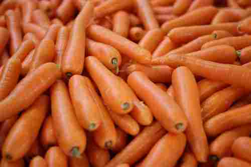 A Grade 100% Fresh Pesticide Free English Carrots