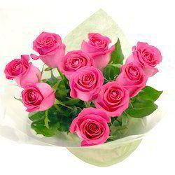 Beautiful Pink Rose for Gift