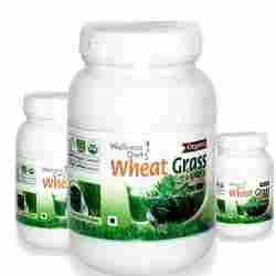 High Grade Wheatgrass Powder