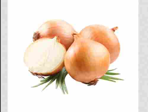Organic Fresh Indian Onions