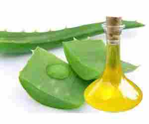 Pure Aloe Vera Oil