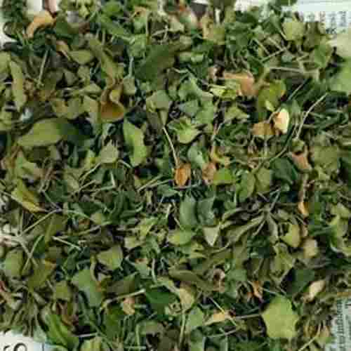 Natural Moringa Dry Leaves