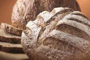 Food Ingredients Multigrain Bread