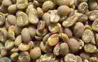Supreme Robusta Coffee Beans