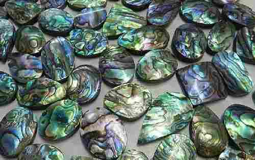 Abalone Shells For Making Jewelry