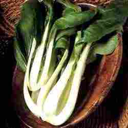 Chinese Pock Choy Vegetables