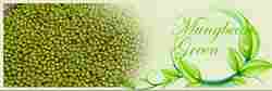 Low Price Green Mung Bean