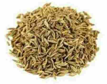 Excellent Quality Pure Cumins Seed