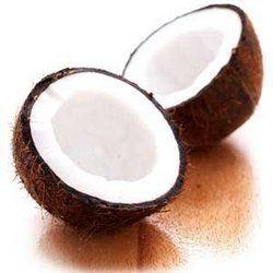 High Quality Dehusked Coconut