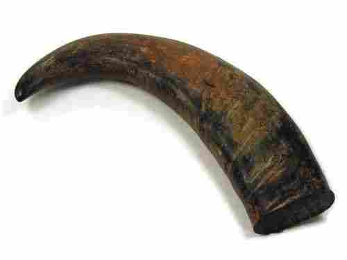Decorative Buffalo Horn Tip