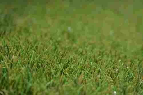 Classic Landscape Artificial Grass