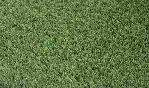 Exclusive Artificial Landscape Grass